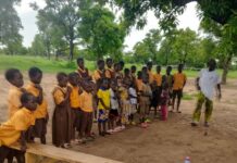 Education groups demand urgent Government action as millions of pupils still learn under trees