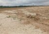 Ashanti Regional Coordinating Council officials lead reclamation of degraded land in Atwima Kwanwoma District