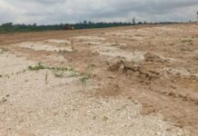 Ashanti Regional Coordinating Council officials lead reclamation of degraded land in Atwima Kwanwoma District