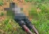 ER: Man who attempted to rape a woman killed by the lady’s brother at Akyem Batabi
