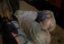Prampram: Police intercept taxi carrying sacks of suspected Indian Hemp