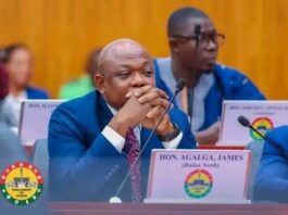 James Agalga replaces Ayariga as new Majority Leader