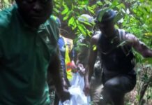 Central Region: Wildlife guard allegedly shot dead by suspected poacher at Kakum Forest Reserve