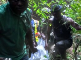 Central Region: Wildlife guard allegedly shot dead by suspected poacher at Kakum Forest Reserve