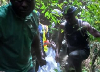 Central Region: Wildlife guard allegedly shot dead by suspected poacher at Kakum Forest Reserve