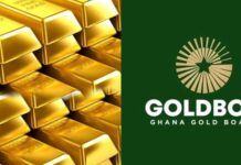The missing “Goldbod cash” – Exclusive details