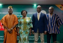 Haruna Iddrisu adds to calls for election of MMDCEs