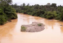 Tano North chiefs decry ‘galamsey’ destruction of River Tano