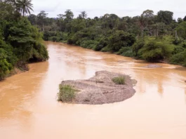 Tano North chiefs decry ‘galamsey’ destruction of River Tano