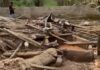 WR: 4 dead, several injured after dynamite explosion in Aboso caused by a shot at a snake