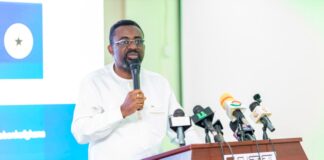 BoG Governor: Ghana needs deeper capital market to finance long-term growth
