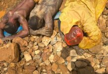Forestry Commission officials arrest 12 illegal miners for operating in Bosomtwe Range Forest Reserve