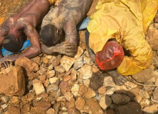 Forestry Commission officials arrest 12 illegal miners for operating in Bosomtwe Range Forest Reserve