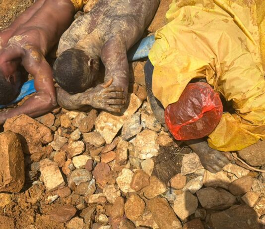 Forestry Commission officials arrest 12 illegal miners for operating in Bosomtwe Range Forest Reserve