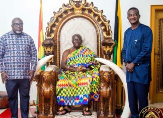 Don’t rely solely on the conventional taxpayers – Asantehene urges GRA