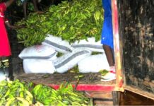 NER: Joint security forces arrest 2 suspects at Bunkpurugu for concealing 118 bags of cocoa beans in trucks loaded with plantain