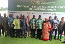 Government to establish 100,000 hectares of oil palm plantations to create jobs – Agric Minister