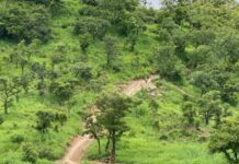 NER: Youth of Gubiou, Saam-Ni construct road through mountains to avoid being cut off from civilisation