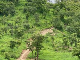 NER: Youth of Gubiou, Saam-Ni construct road through mountains to avoid being cut off from civilisation
