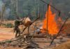 NAIMOS officials quell clash of illegal miners in Atiwa Forest, destroys makeshift structures and pumping machines NAIMOS