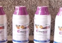 Police, Madina Assembly taskforce arrest woman for alleged sale of unapproved fruit-ripening chemicals