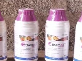 Police, Madina Assembly taskforce arrest woman for alleged sale of unapproved fruit-ripening chemicals