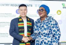 Ghana Free Zones Authority discusses investment opportunities with Chinese investors