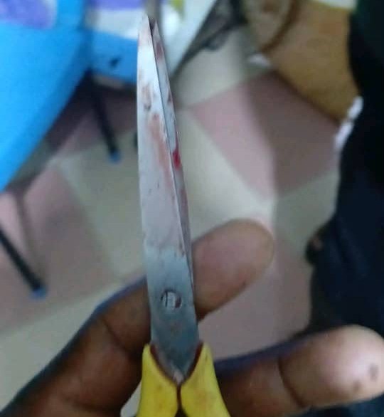 WhatsApp Image 2026-08-20 at 18.42.55 Scissors