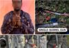 Savannah Region: Police dismantle robbery gang at Buipe