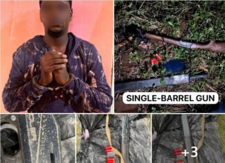 Savannah Region: Police dismantle robbery gang at Buipe