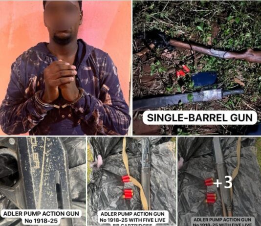 Savannah Region: Police dismantle robbery gang at Buipe