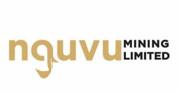 Nguvu Holdings