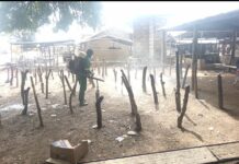 MMDCEs in North East Region and Zoomlion embark on comprehensive fumigation initiative