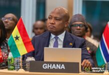 Let’s commit to job creation to halt conflicts & forced migration – Ablakwa tells African Union