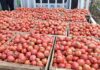 CSIR equips farmers with knowledge in Climate-Resilient practices