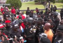 NPP petitions Supreme Court, Presidency over alleged threats to democracy
