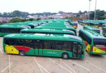 Aayalolo deploys 48 more buses to curb peak hour congestion in Accra