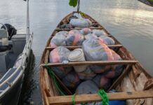 Marine Police intercept canoe loaded with suspected cannabis at Ada