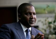 Visa restrictions undermining African investment – Dangote