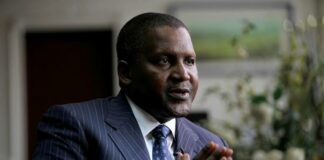 Visa restrictions undermining African investment – Dangote