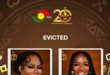 GMB@20: Anile and Basi exit as 12 ladies remain in race for ultimate prize