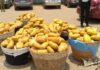 Cocaine busts: NDC questions NPP motive for removing NACOC from port inspections