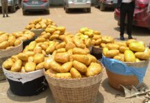 Cocaine busts: NDC questions NPP motive for removing NACOC from port inspections