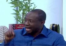 New cocoa price exposes government’s credibility challenge – Fiifi Boafo