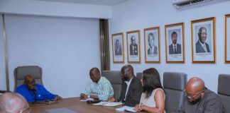 Akufo-Addo rallies NPP on unity, grassroots mobilisation ahead of 2028 elections