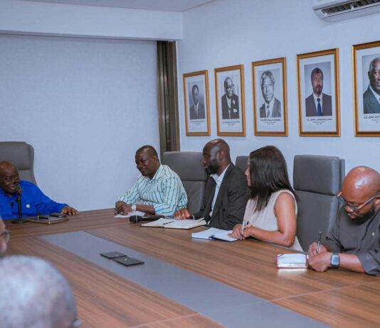 Akufo-Addo rallies NPP on unity, grassroots mobilisation ahead of 2028 elections