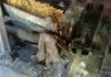 Fufu machines, corn mills linked to bacterial contamination – UCC Engineer warns
