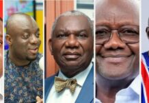 7,163 delegates, 45 aspirants, one NPP: Why unity must win on October 3