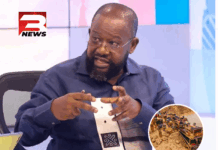 ‘If we won’t shoot to kill, shoot to maim’ – CPP’s Jantuah on ending galamsey