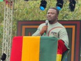 Ashanti Region ready to host NkrumahFest â Minister Amoakohene